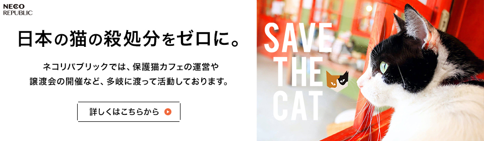 日本の猫の殺処分をゼロに